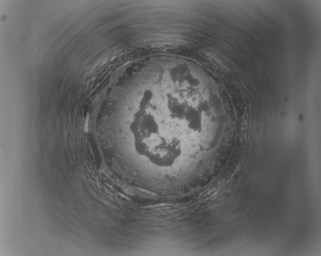 X0000056000917200509021700