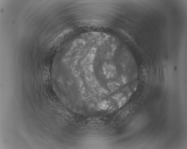 X0000056000918200509021700