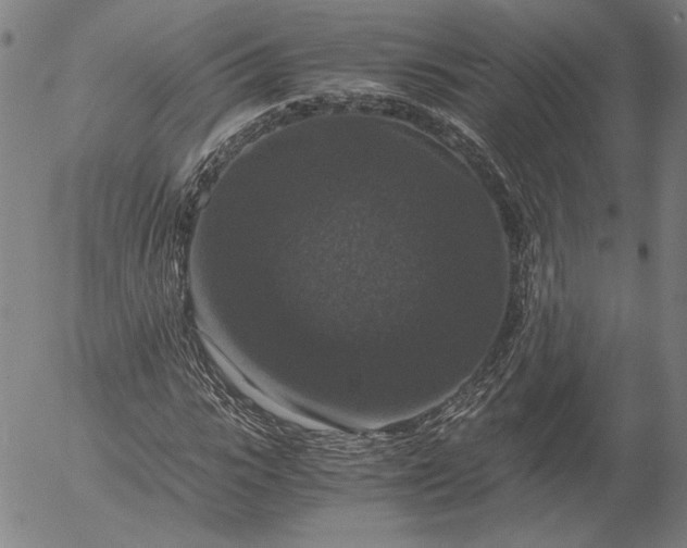 X0000056000919200509021700