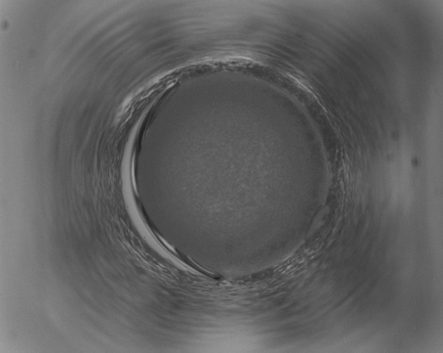 X0000056000920200509021700