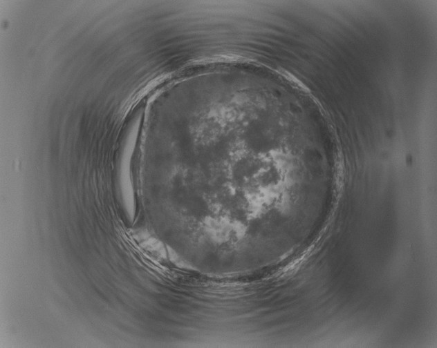 X0000056000921200509021700