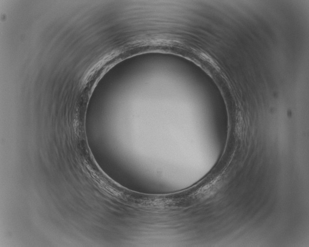 X0000056000922200509021700