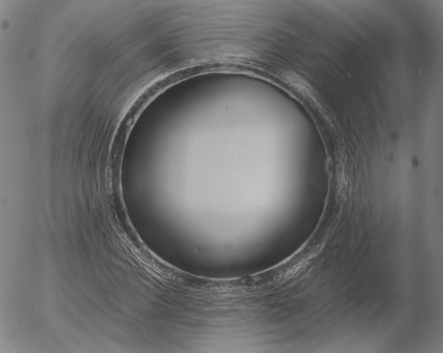 X0000056000924200509021700