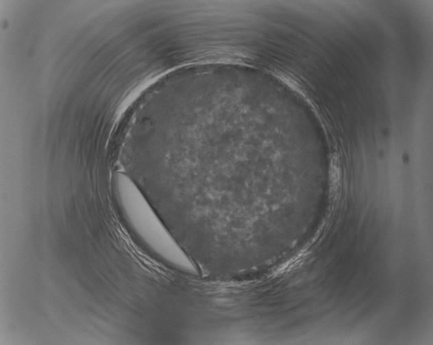 X0000056000925200509021700