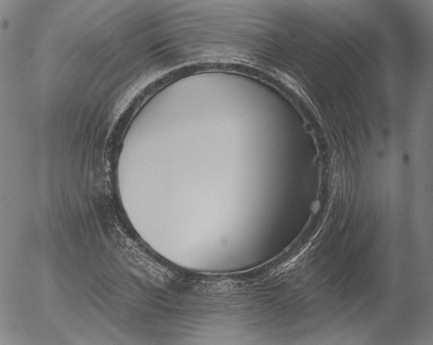 X0000056000926200509021700