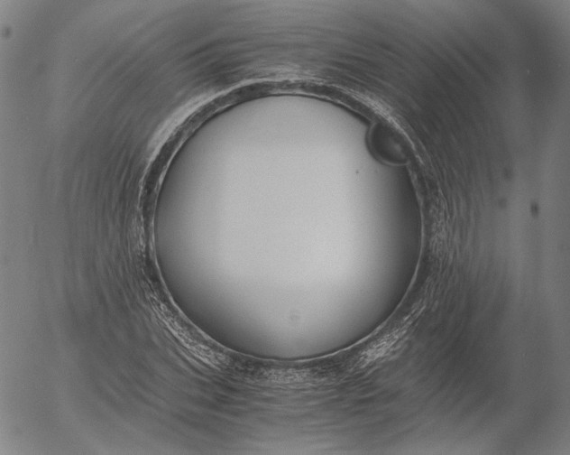 X0000056000927200509021700