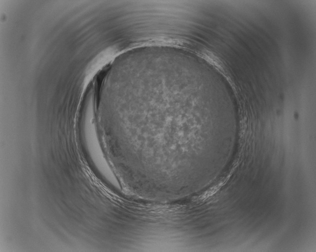 X0000056000928200509021700