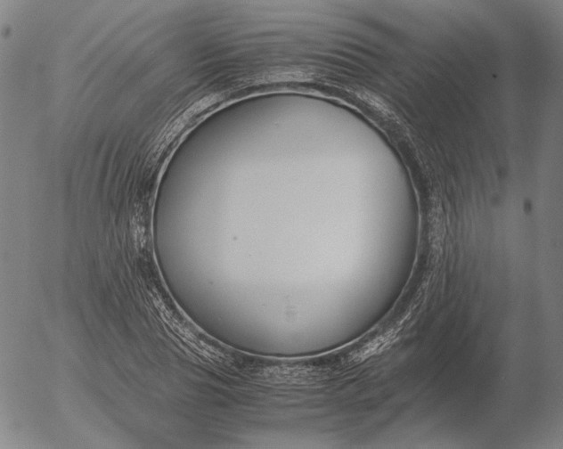 X0000056000929200509021700