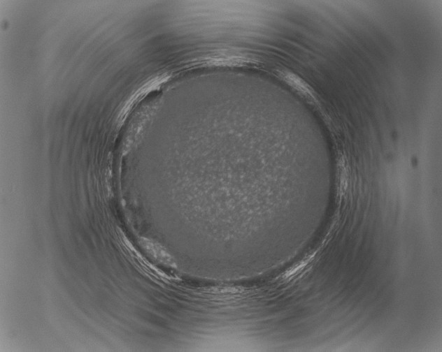 X0000056000930200509021700