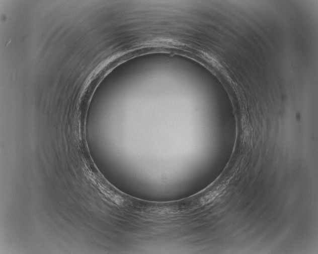 X0000056000931200509021700