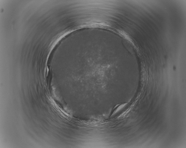 X0000056000932200509021700