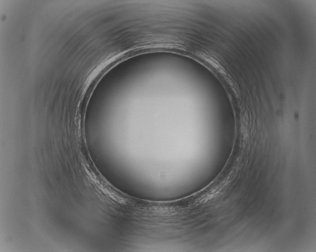 X0000056000933200509021700