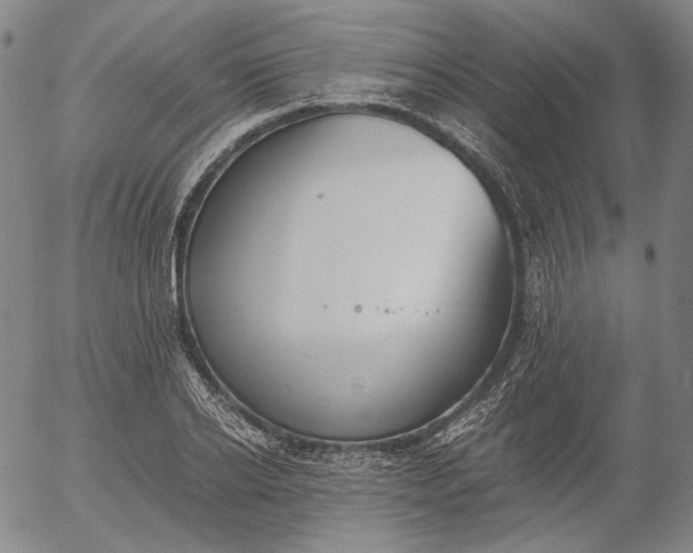 X0000056000934200509021700