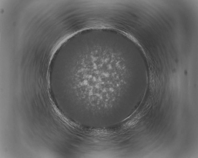 X0000056000935200509021700