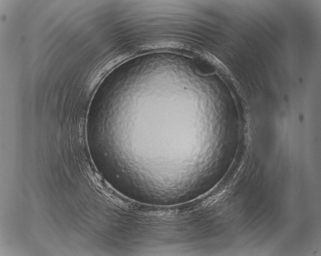 X0000056000937200509021700