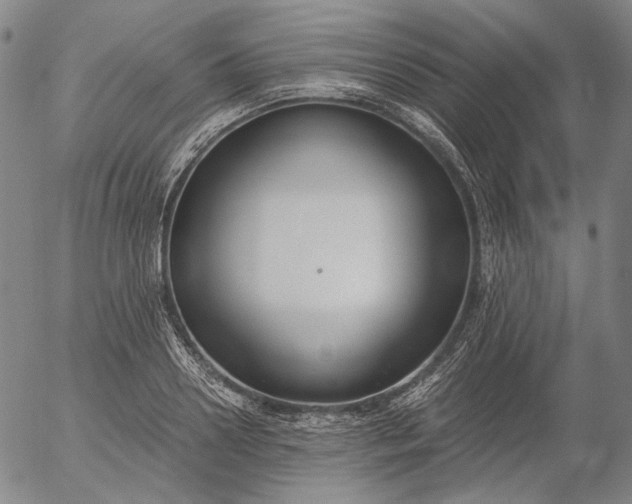 X0000056000938200509021700