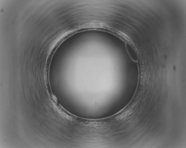 X0000056000942200509021700