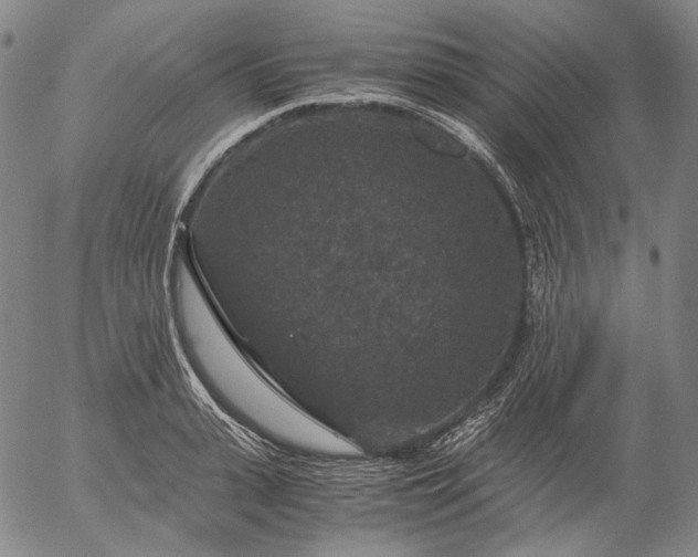 X0000056000943200509021700