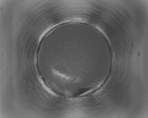 X0000056000944200509021700