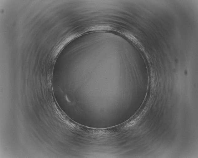 X0000056000945200509021700