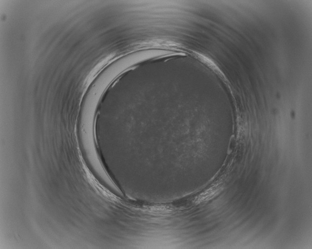 X0000056000946200509021700