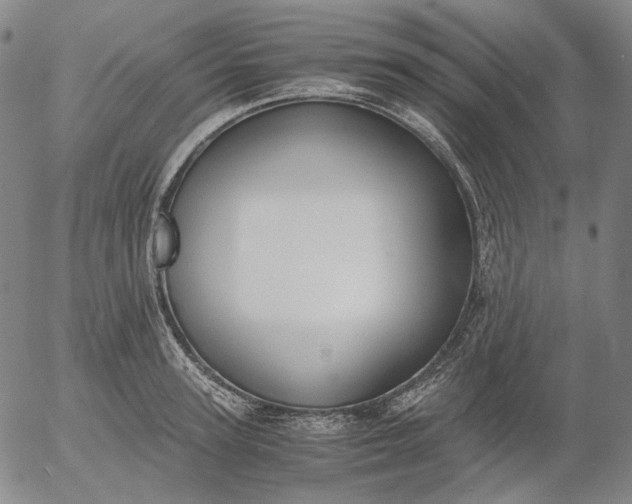 X0000056000947200509021700