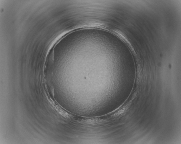 X0000056000948200509021700