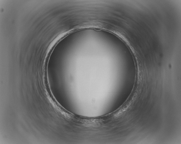 X0000056000949200509021700