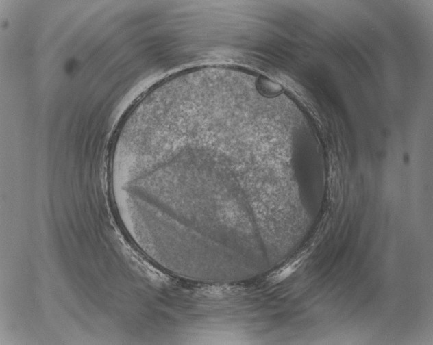 X0000056000950200509021700