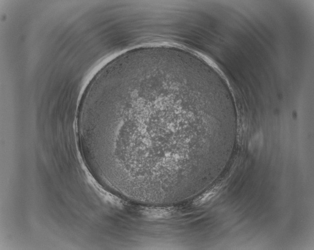 X0000056000951200509021700