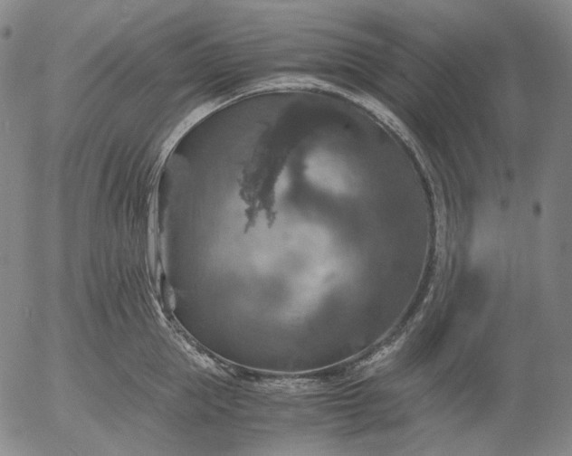 X0000056000953200509021700