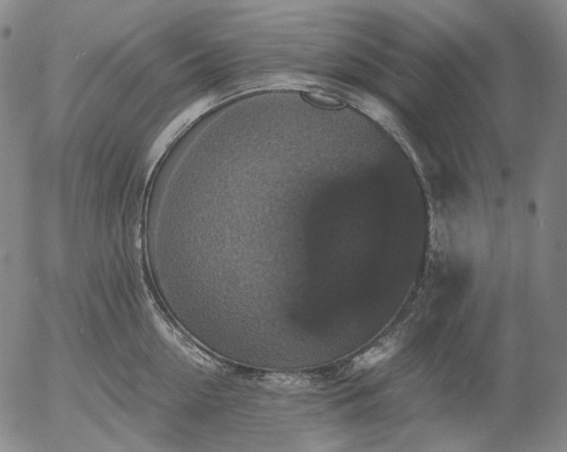 X0000056000954200509021700