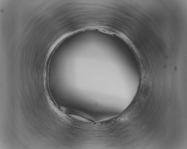 X0000056000955200509021700