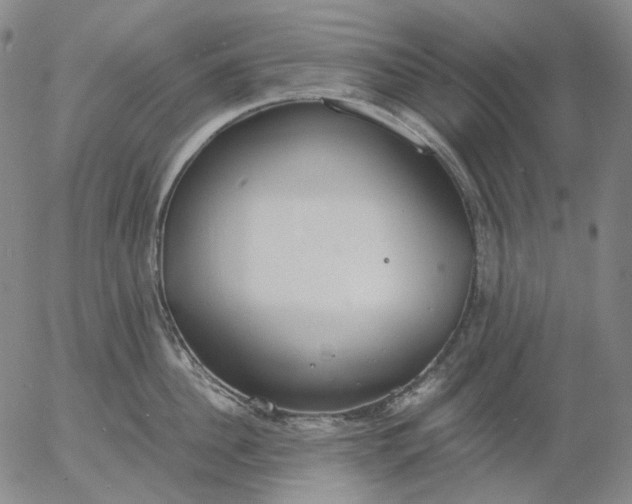 X0000056000956200509021700