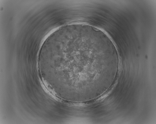 X0000056000957200509021700