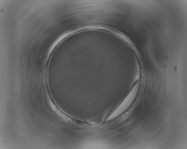 X0000056000958200509021701