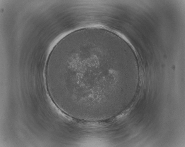 X0000056000959200509021701