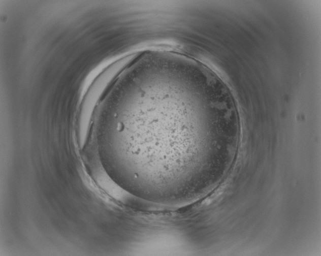 X0000056000960200509021701