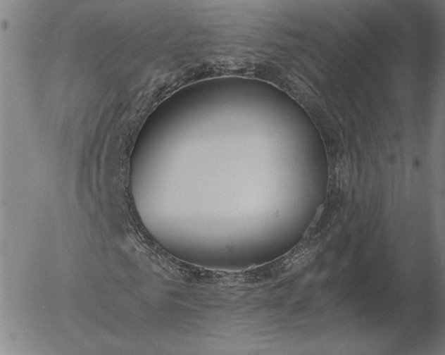 X0000056000961200509021700