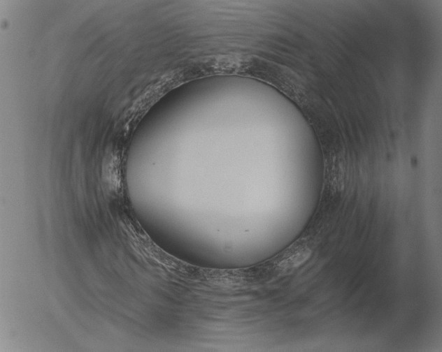 X0000056000962200509021700