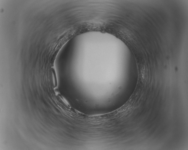 X0000056000964200509021700