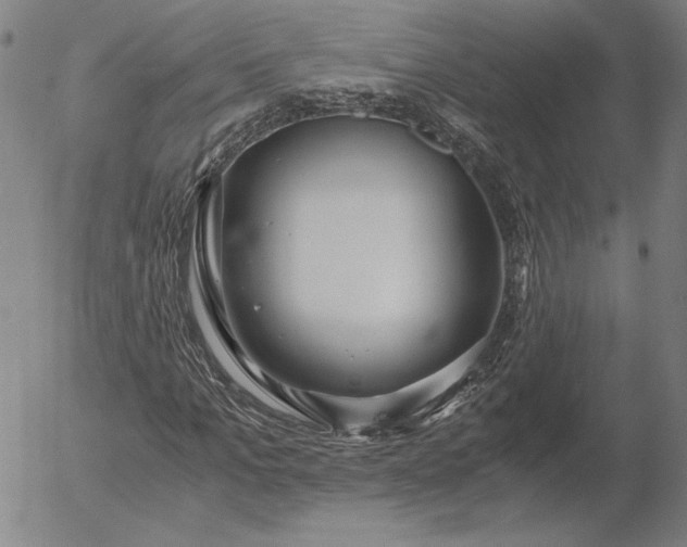 X0000056000965200509021700