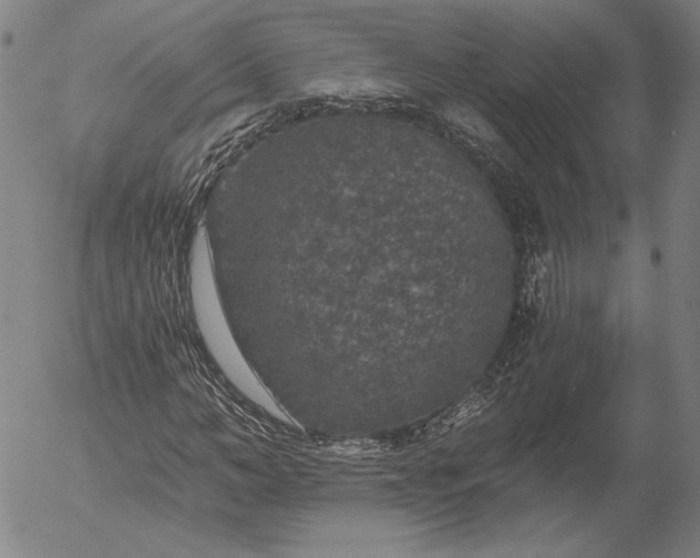 X0000056000966200509021700