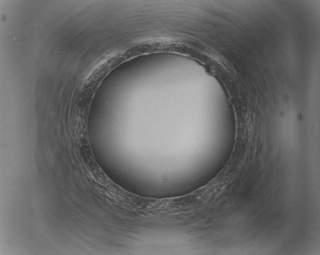 X0000056000967200509021700