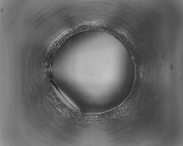 X0000056000968200509021700