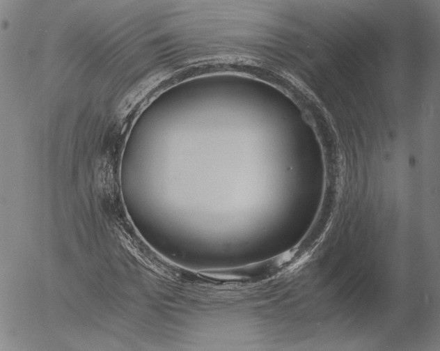 X0000056000969200509021700