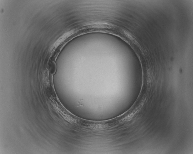 X0000056000970200509021700