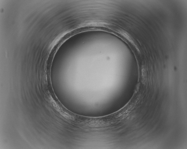 X0000056000972200509021700