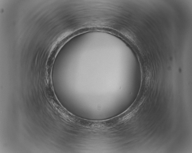 X0000056000974200509021700