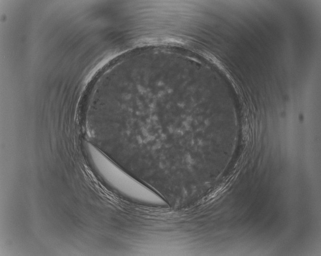 X0000056000975200509021700